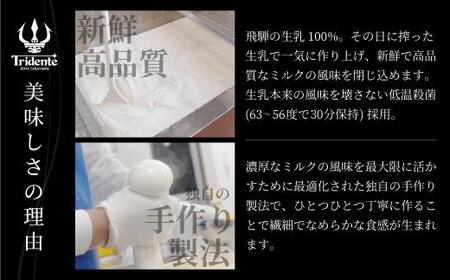 飛騨生乳100％ モッツァレラチーズ 2個（各125g）| チーズトリデンテ LF001