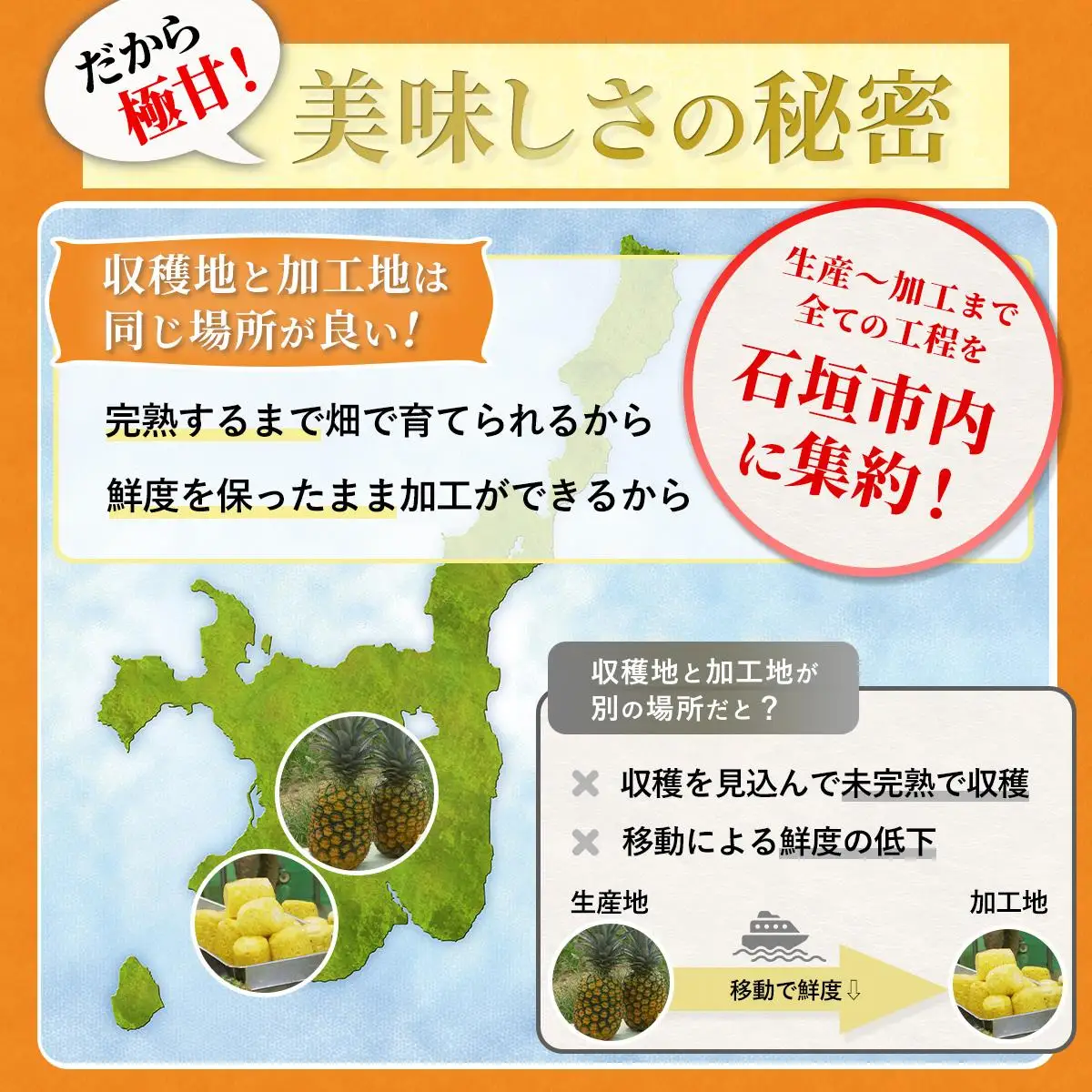 パイナップル 當銘さんの完熟カットパイン 1.25kg (250g×5袋)