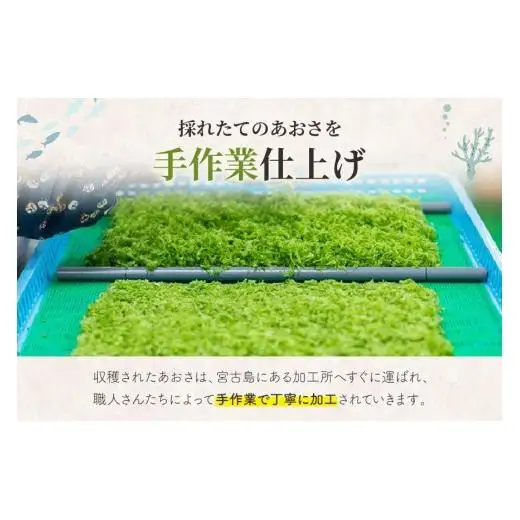 宮古島の環境だから実現できた『オーガニックあおさ』3袋セット（GF001）