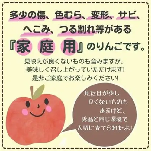 ◆2026年12月中発送◆りんご サンふじ家庭用 約10kg(24～42玉)【1494948】