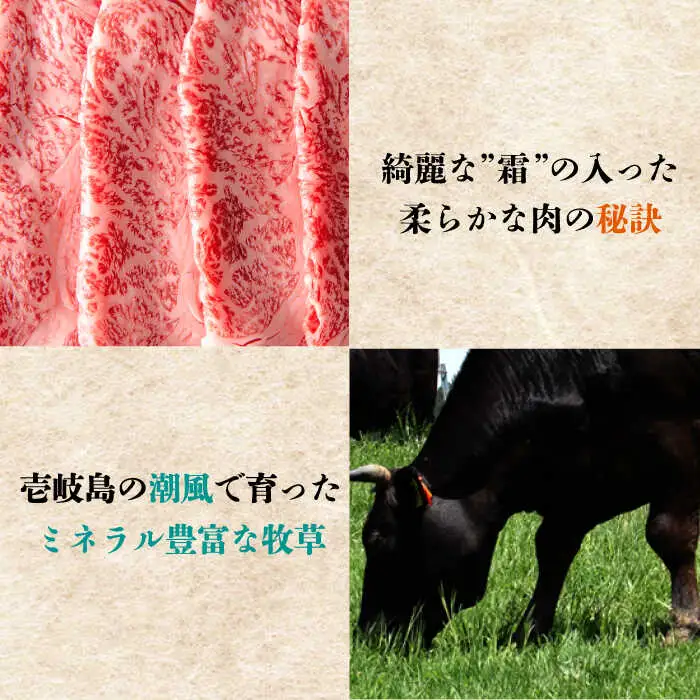 壱岐牛 カタロース すき焼き用 800g（400g×2箱）《壱岐市》【壱岐市ふるさと商社】 お肉 黒毛和牛 しゃぶしゃぶ 贅沢 肩ロース [JAA024] 38000 38000円