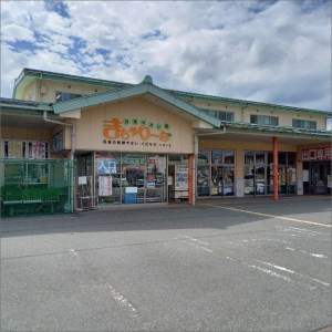 【先行予約／数量限定】直売所直送「京都・京丹後産 訳あり さつまいも3種食べ比べセット」計3kg（2026年10月下旬～発送）