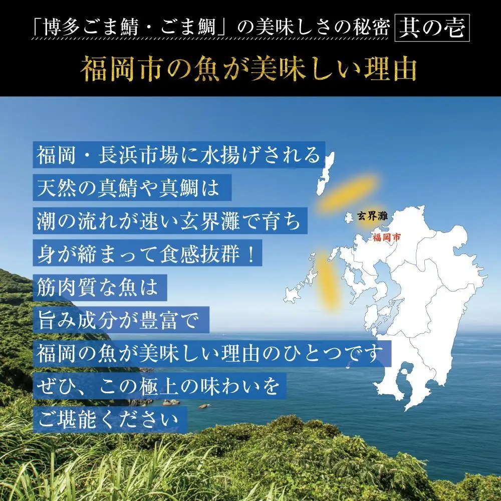 博多 ごま鯖 400g (100g×4個) 鯖 ごまさば 天然 真鯖 長浜市場 水揚げ 刺身 魚 魚介 海の幸 海鮮 国産 おつまみ つまみ 酒のつまみ 茶漬け 小分け お取り寄せグルメ ご当地グルメ 冷凍 福岡県 福岡市 福岡