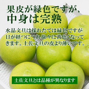 【先行予約】高知県産水晶文旦 特選ご贈答用 中玉6個入り〈2026年10月上旬?11月上旬頃発送〉  / ぶんたん ブンタン 水晶文旦 果物 柑橘 フルーツ お取り寄せ 特産品 おいしい【白木果樹園】[BQAI019]
