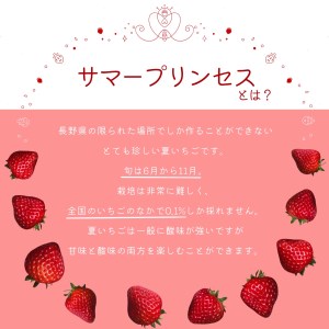 大空夏いちご農園　希少な夏いちご『サマープリンセス』１箱（2パック入り）【お届け希望日をご指定下さい（７月下旬から11月中旬まで）】