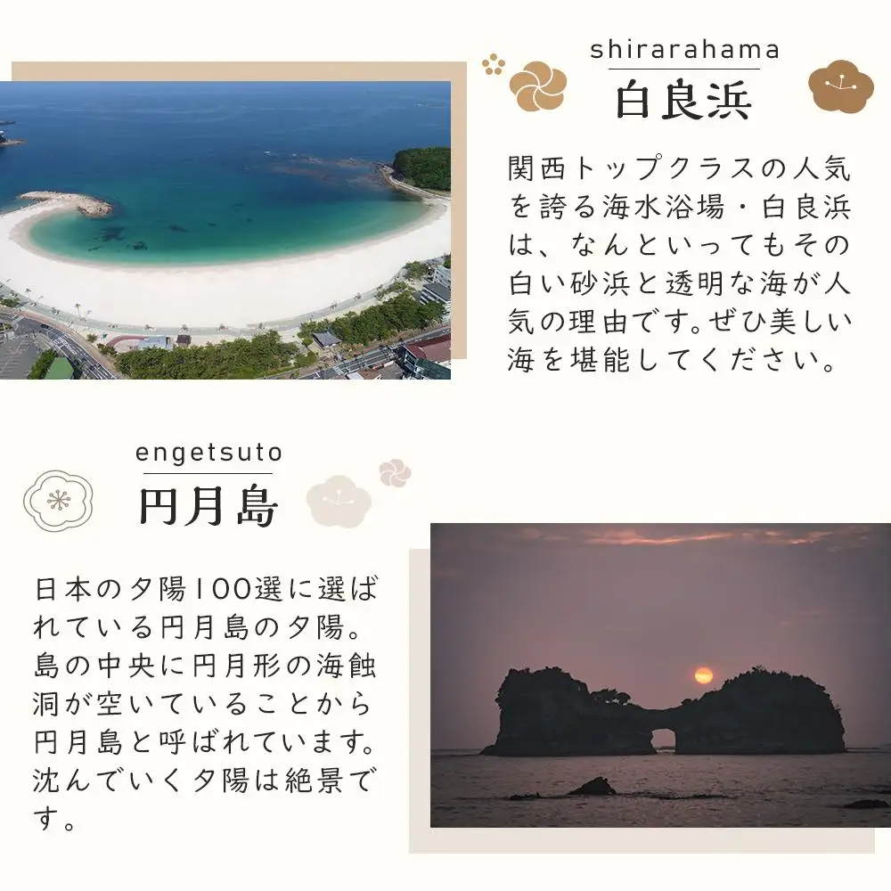 【白浜町、那智勝浦町、上富田町】JTBふるさと旅行券（450,000円分）有効期間5年 | 予約 宿泊 観光 体験 温泉 ホテル 旅館 チケット 子供 子連れ カップル 家族 店頭 電話 白浜