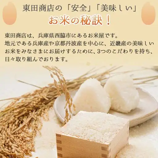 【スピード配送】きぬむすめ 10kg 白米 令和７年産