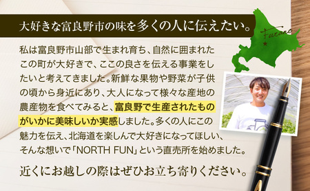 富良野メロン フルーツ NORTH PREMIUM メロン【2玉 計約4kg以上】
