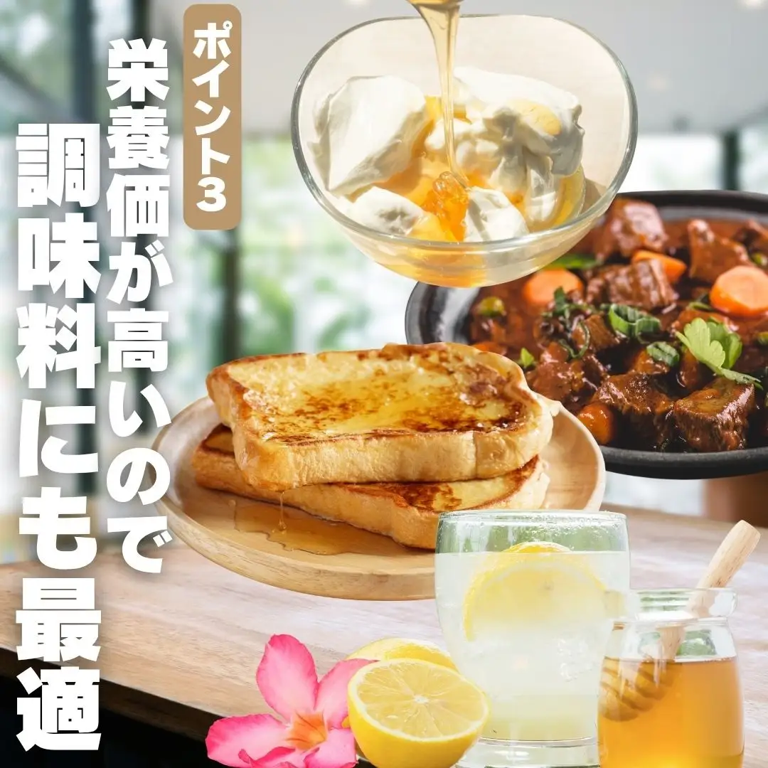 岩湧ハニー 純粋百花はちみつ 500g×1本セット