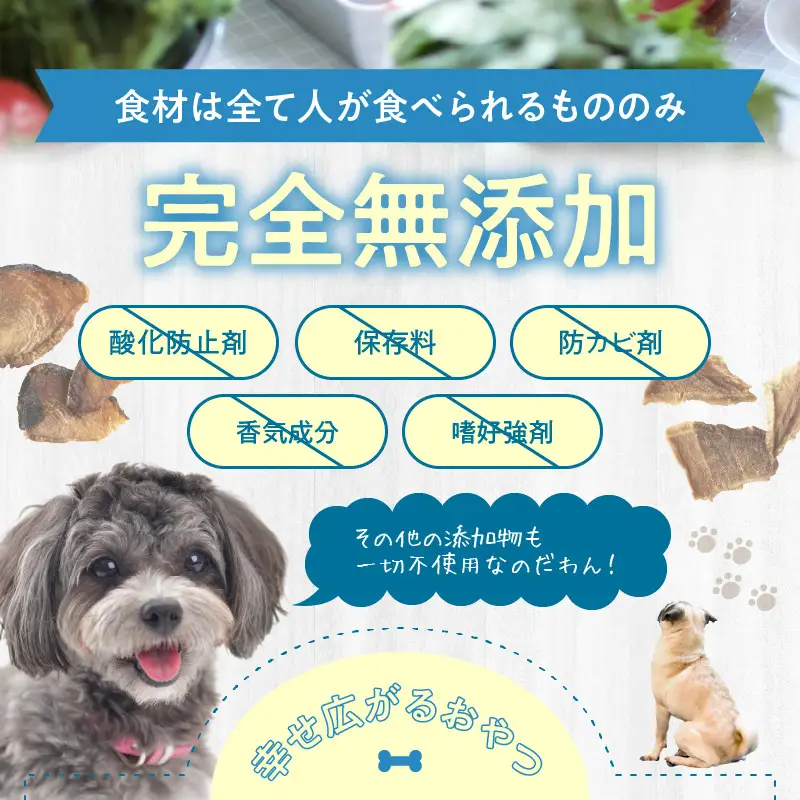 ドッグフード 無添加 お魚おやつ6点セット 【犬の手作りごはん】 R15002