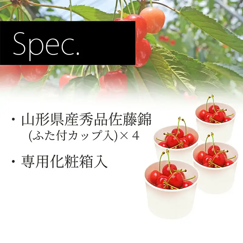 【2027年先行予約】山形県産さくらんぼ佐藤錦 秀品 L玉以上 ちぇりっち 120g × 4個入 FSY-0010