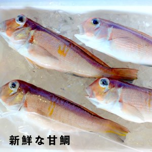 若狭湾の甘鯛 開き干し 3尾 ： 干物 開き 甘鯛 若狭ぐじ