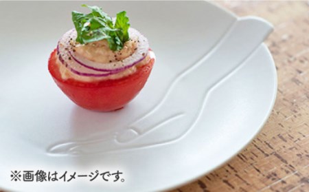  handsscoopプレート NAU192 