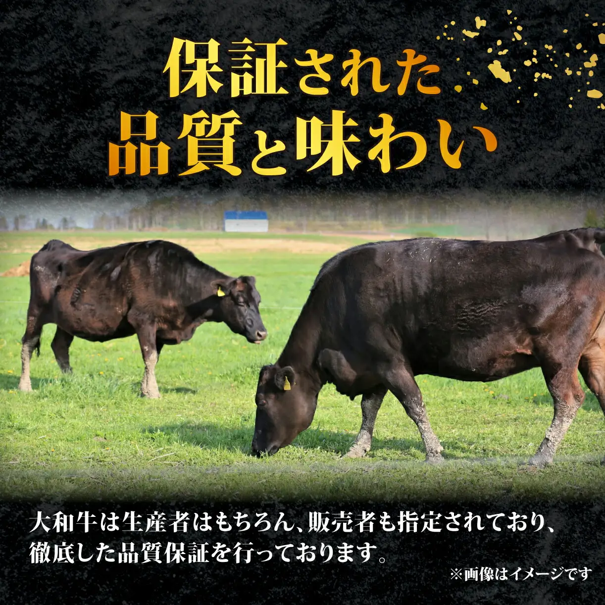ブランド牛肉 大和牛 ロース850g G-65