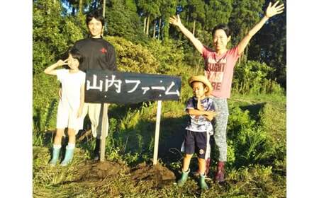 【自然が育む新鮮野菜】こばやし季節の野菜詰め合わせセット（ 野菜セット 季節野菜セット 新鮮野菜セット 旬野菜セット 小林市野菜セット ）