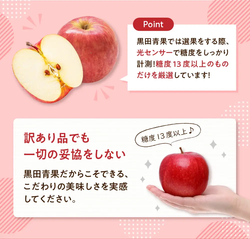 【2026年12月後半発送】【ちょっと訳あり】 りんご 約10kg サンふじ 青森県産 りんご