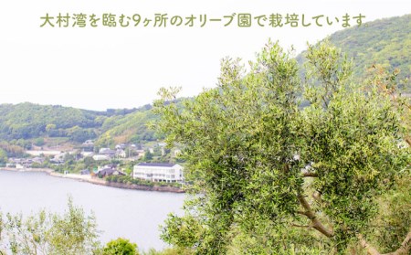 【12回定期便】オリーブリーフティー 5袋 長与町/ゆきのヶ丘オリーブ園 [EAV021]   オリーブリーフティー お茶 ティーバッグ