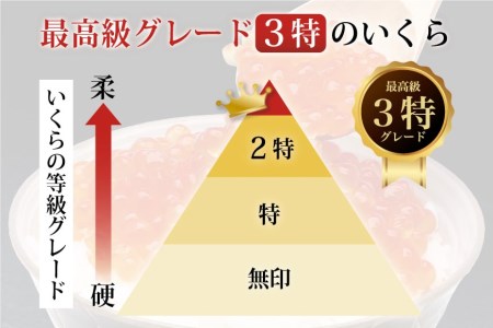 【TVで紹介！】定期便 6回 奇数月発送 最高級3特 国産 味付 いくら 宝壽 醤油漬 計3kg (500g×6回) / かわむら家 / 宮城県 気仙沼市 