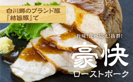 飛騨牛もも ブロック肉 300g 結旨豚ロース ブロック肉 500gセット [S321]
