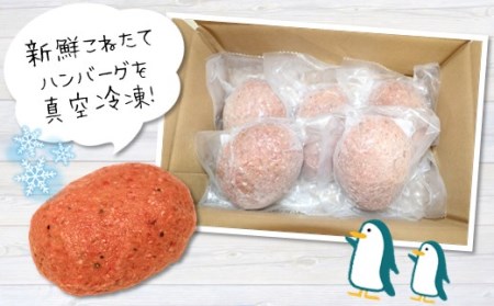 旨味凝縮あか牛100％ハンバーグ　1500ｇ（150ｇ×1０個） | 熊本県 熊本 くまもと 和水町 なごみまち なごみ 牛肉 肉 あか牛 赤牛 肥後 冷凍 ハンバーグ