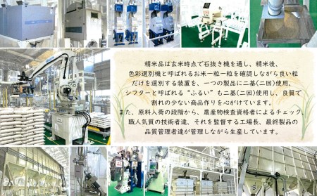 【定期便12回】令和5年産 無洗米 南関郷のお米 「ひのひかり」5kg 熊本県産 | 無洗米 くまもと 無洗米 熊本 無洗米 熊本県 無洗米 和水町 無洗米 南関郷