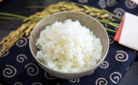  熊本和水町産 ひのひかり（菊水れんげ米）8kg