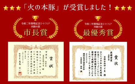 火の本豚 ボロニアソーセージ（500ｇ×6本セット） | ソーセージ 熊本 ソーセージ 熊本県 ソーセージ くまもと ソーセージ 和水 ソーセージ 和水町 ソーセージ なごみ