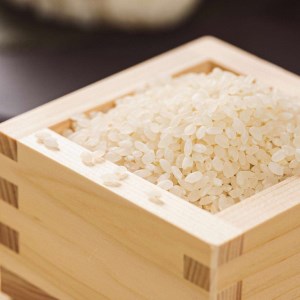 茨城県産にじのきらめき13kg（5kg×2袋＋3kg）〈茨城県共通返礼品・下妻市〉 ※着日指定不可_DN01
