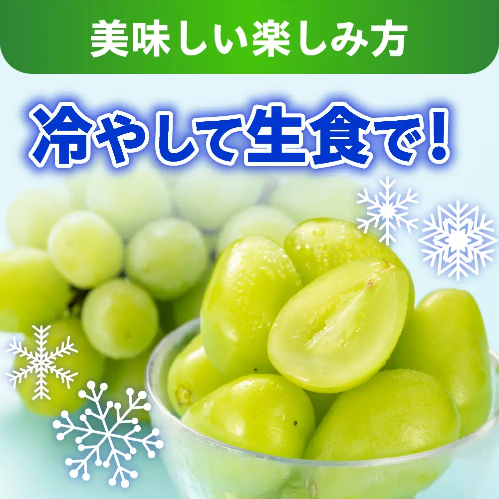 【先行予約】 【数量限定】 令和8年産 シャインマスカット 210g × 3パック 計 630g 2026年9月上旬頃～お届け予定