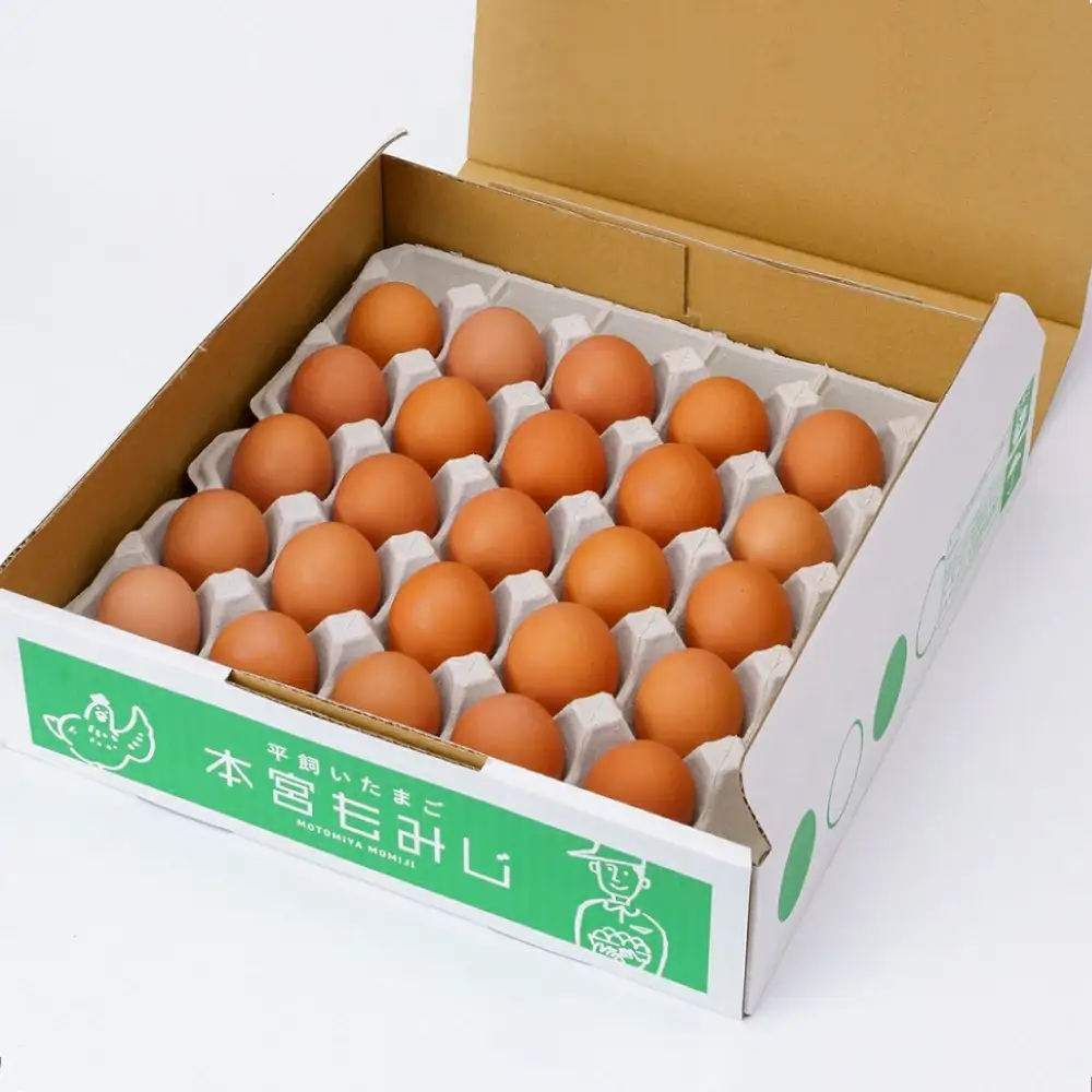 福島県本宮市産　平飼い本宮もみじ卵　生卵25個　【07214-0012】