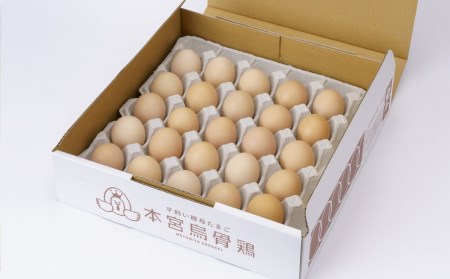 福島県本宮市産　平飼い本宮烏骨鶏酵母卵　生卵50個　【07214-0019】
