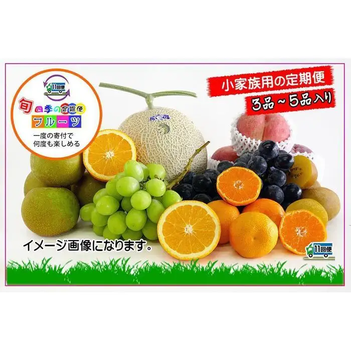  【定期便11回Sサイズ】 フルーツ セット 定期便 ( 約3 ～ 5品 × 11ヶ月 ) ｜産直あきんど 香川産 四季のフルーツ 創業100年