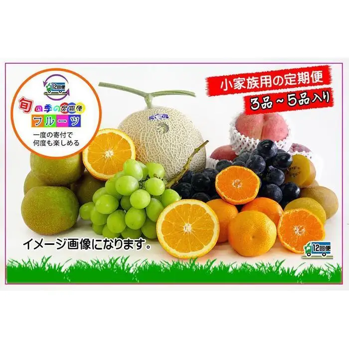  【定期便12回Sサイズ】 フルーツ セット 定期便 ( 約3 ～ 5品 × 12ヶ月 ) ｜産直あきんど 香川産 四季のフルーツ 創業100年