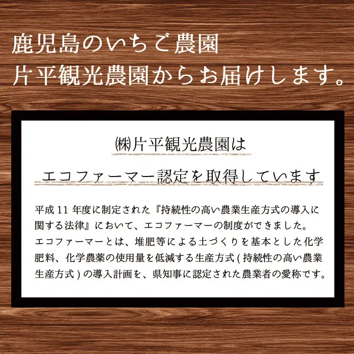 No.907 苺ジャム(200g×4本)と不知火ジャム(200g×2本) 国産 九州産 鹿児島県産 いちご イチゴ 苺 不知火 しらぬい ジャム フルーツ 果物 柑橘 手作り 手造り 調味料 小分け 贈答 プレゼント 保存料無添加 着色料無添加【片平観光農園】