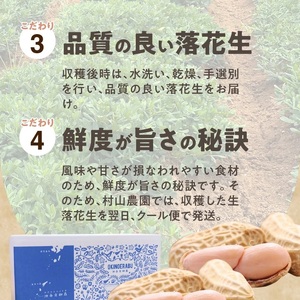 ■夏本番！珊瑚の島から贈り物！沖永良部島の赤土 生落花生3kg！【7月後半～9月上旬】 W045-002u 野菜 落花生