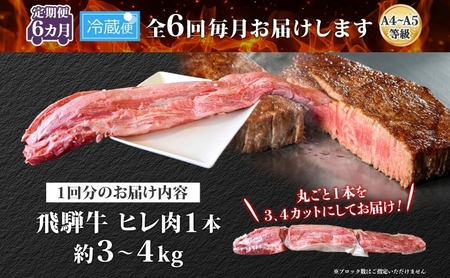 飛騨牛 ヒレ肉 ブロック A4～A5等級 1本6ヵ月定期便約3～4kg  3割×6 ヒレ シャトーブリアン 肉 牛肉 ブランド牛 お肉 和牛 お取り寄せ ご褒美 ステーキ 豪華 グルメ 焼肉 BBQ パーティー ギフト 贈り物 焼肉マルイ 岐阜県 【 安八町 】