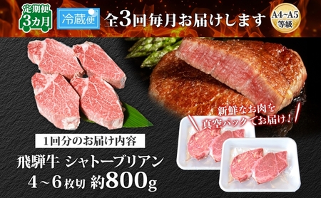 飛騨牛 シャトーブリアン ステーキ 3ヵ月定期便約800g 4～6枚切り×3 肉 牛肉 和牛 ブランド牛 お肉 ビーフ ヒレ 希少部位 赤身 国産 ご褒美 豪華 グルメ 焼肉 BBQ パーティー ギフト 贈り物 送料無料 焼肉マルイ 岐阜県 【 安八町 】