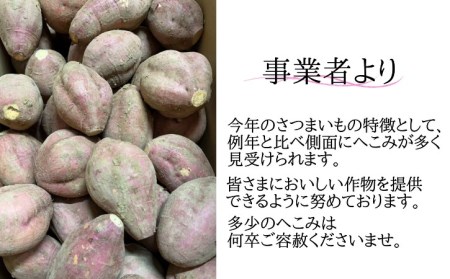 中園ファーム 種子島 安納いも （ 生芋 ） SS,Sサイズ 10kg　NFN473【400pt】 
