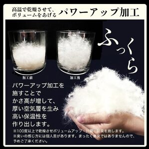 羽毛布団 シングル カナダコロニアルホワイトダウン95％ 布団