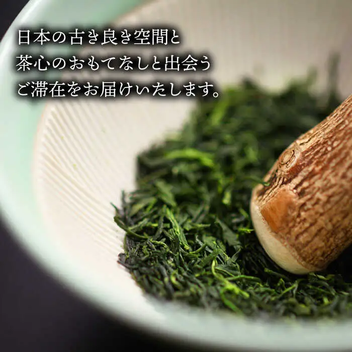 宿泊利用券 和楽園本館 NBF003 宿泊 観光 温泉