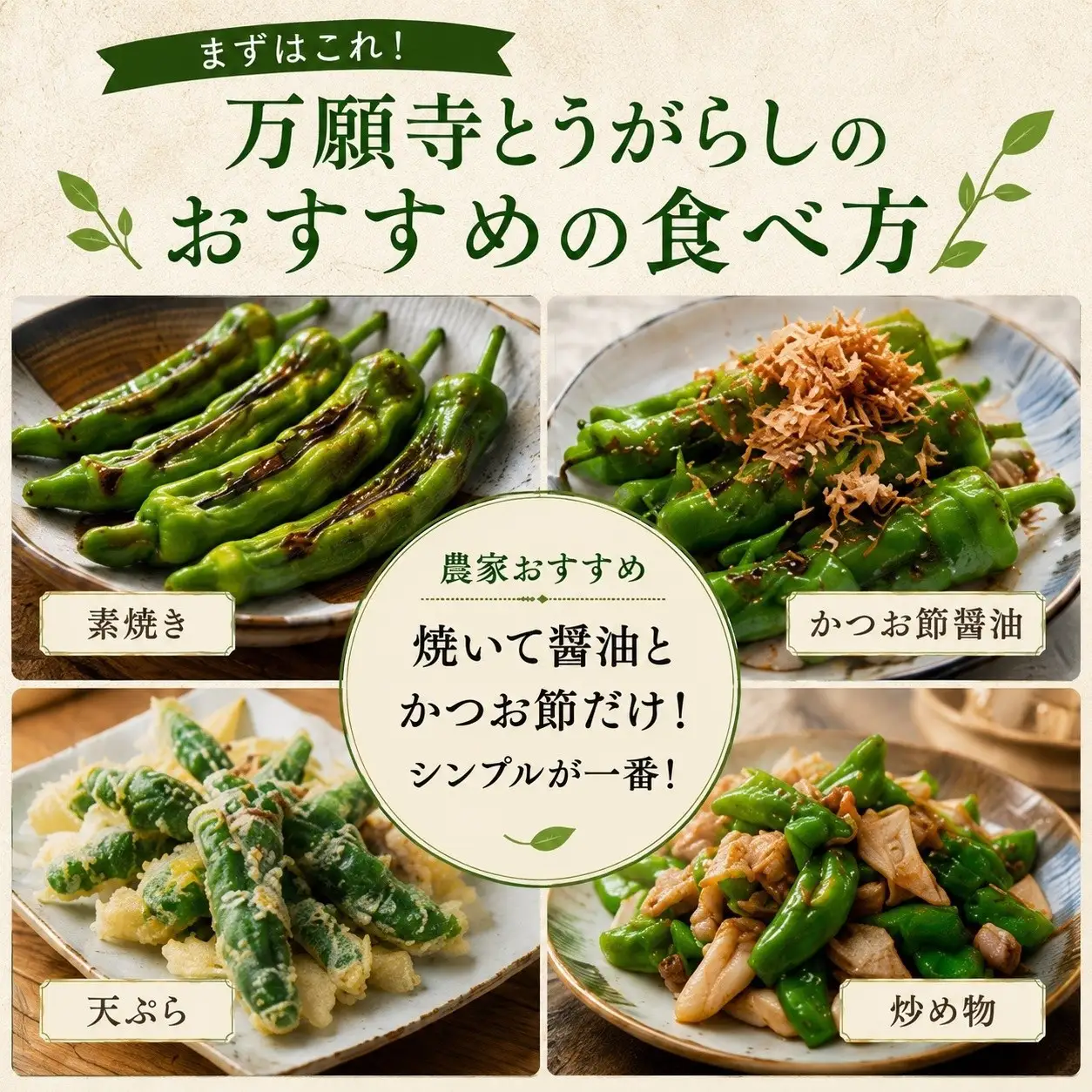 万願寺とうがらし（京野菜）1kg（目安30～40本）｜ 京野菜