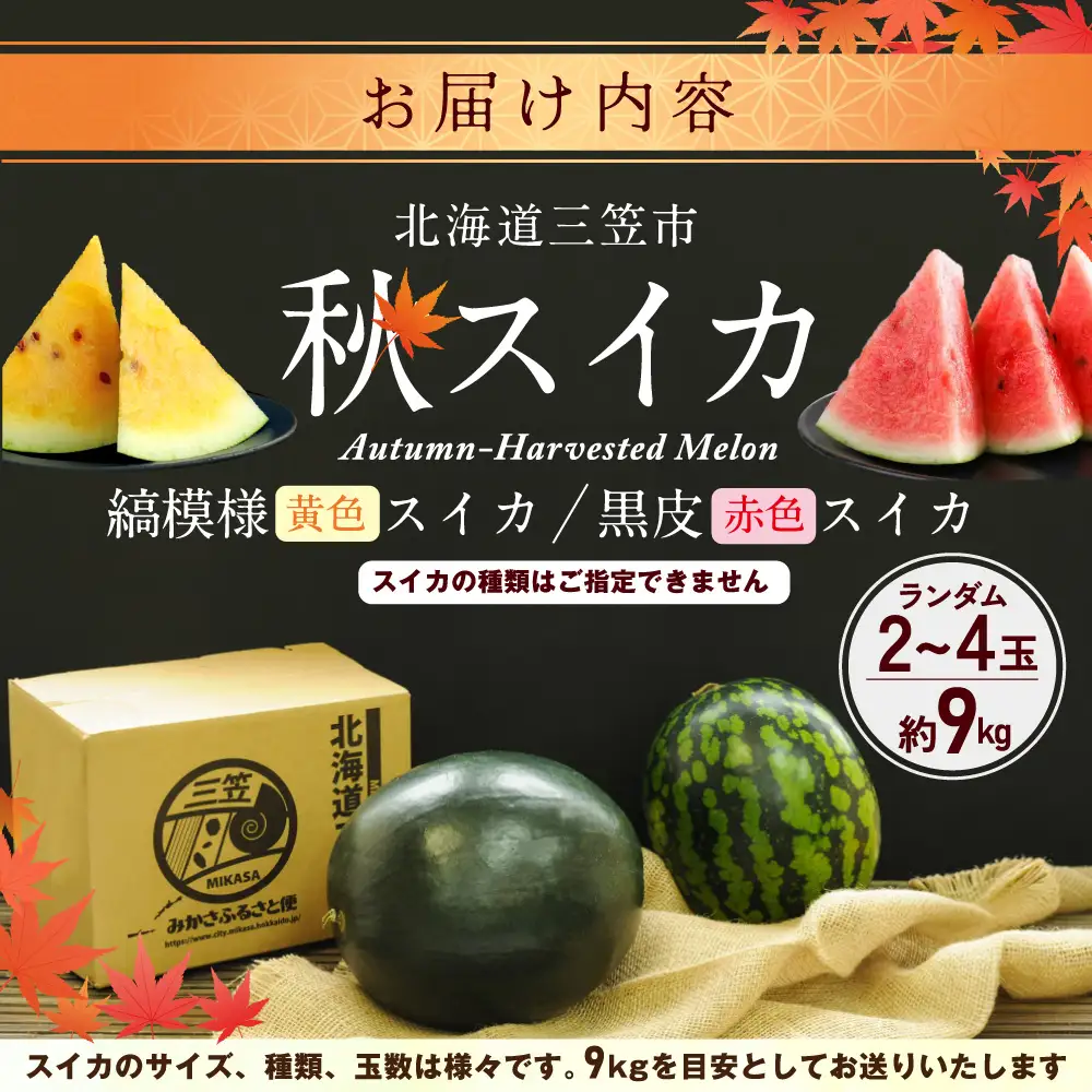 《2026年分受付中》秋に収穫される赤色スイカor黄色スイカ2～4玉(約9kg)【01149】
