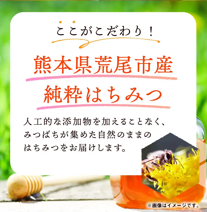 みかんはちみつ 320g 160g×2本 2026年採蜜 木原養蜂園《30日以内に出荷予定(土日祝除く)》