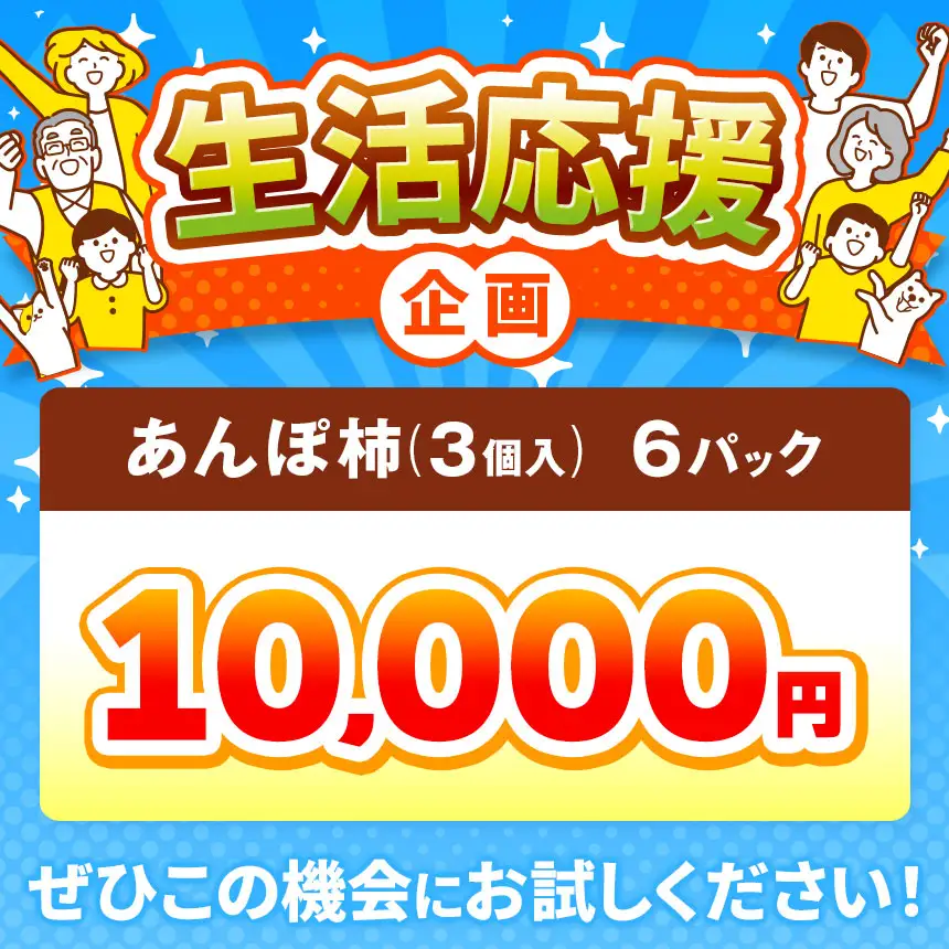  【 先行予約 】 あんぽ柿 3個入り×6パック | 