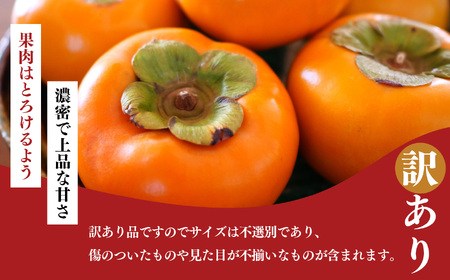 富有柿 わけあり ！ 約 7kg | 訳アリ 訳あり 家庭用 ご家庭用 奈良 お歳暮 秋 味覚 フルーツ 果物 くだもの 柿 かき カキ 奈良県 五條市