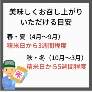 【令和7年産】玄米 きぬひかり 10kg 玄米