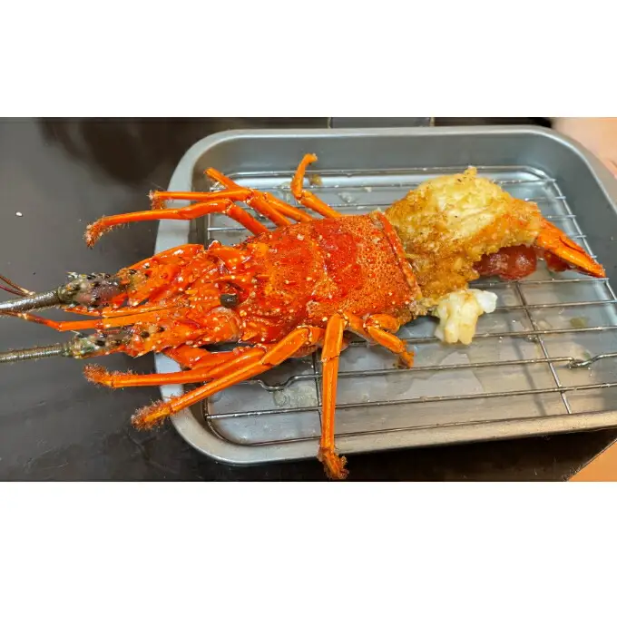 活伊勢海老 約3kg(5～15尾)【 イセエビ 伊勢海老 】