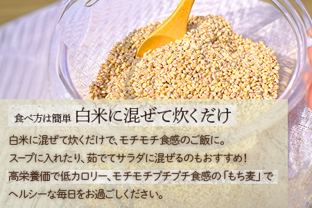 【 熊本県産 もち麦 】3kg(500g×6袋) 白米 と 炊くだけ！【 もちもち もちむぎ 麦 もち麦 ヘルシー 食感 ぷちぷち 食物繊維 炊飯 健康 高栄養 ポリフェノール  熊本県 多良木町産 】065-0589