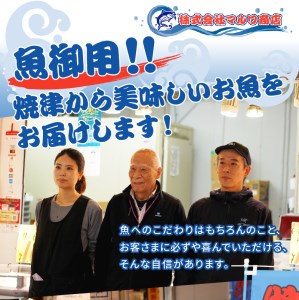 ビンチョウ まぐろ ＆ サーモン 漬け 2種盛り 10パック (a10-697)