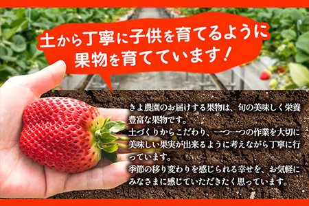 ＜先行予約＞希少！まりひめ　特大サイズ約300g～350g×2パック きよ農園